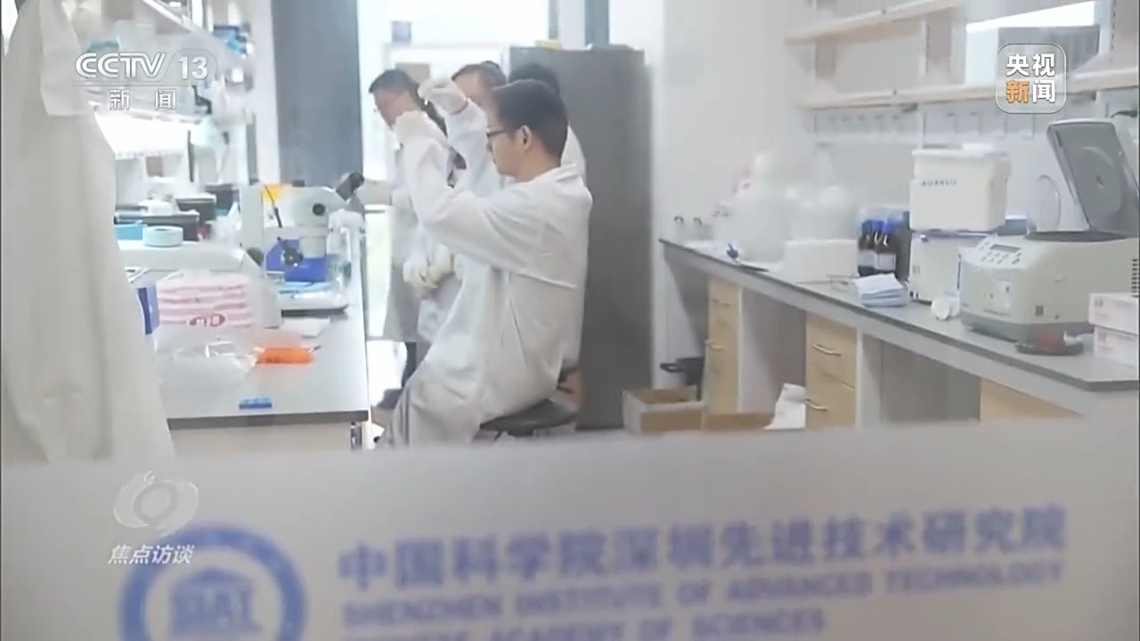 焦点访谈丨向着新目标前进：投资于人更幸福的未来(图12)