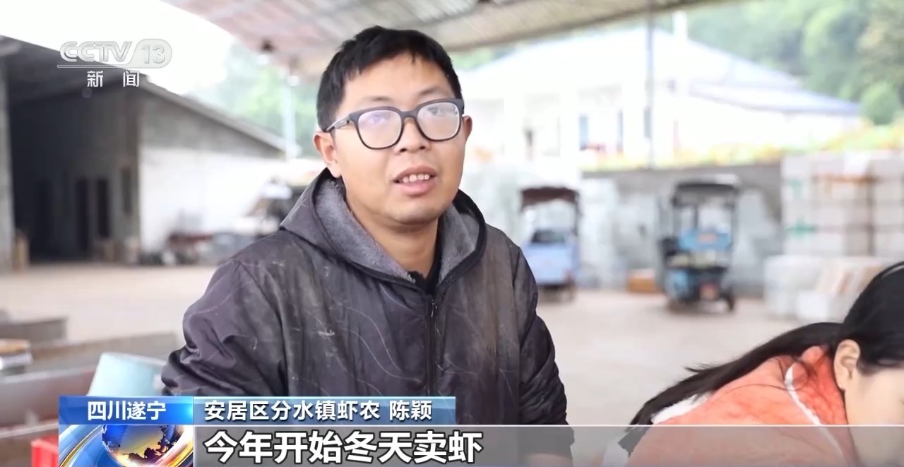 视频丨小龙虾错峰上市带动农民增收 四川遂宁实现“四季有虾”