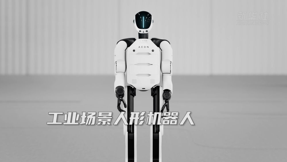 ڰ˽йʽڲAIйʽڲϡ