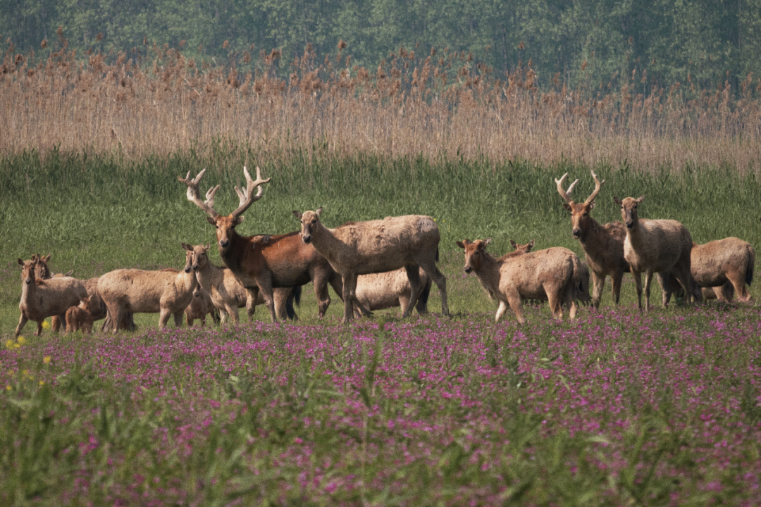 640?wx_fmt=png&from=appmsg&&wxfrom=5&wx_lazy=1#imgIndex=3