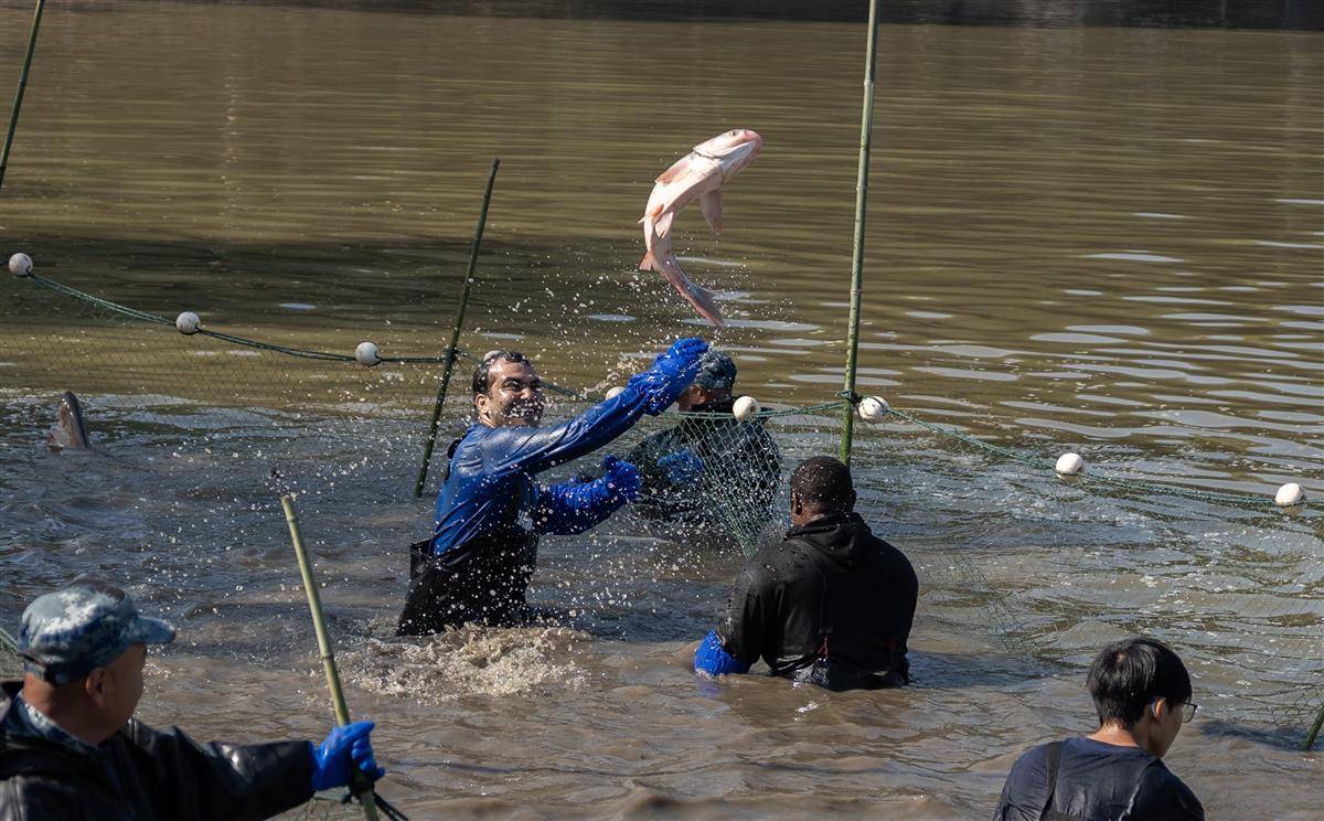 老师参赛 留学生助阵 校友回归 武科大捕鱼节越办越欢腾
