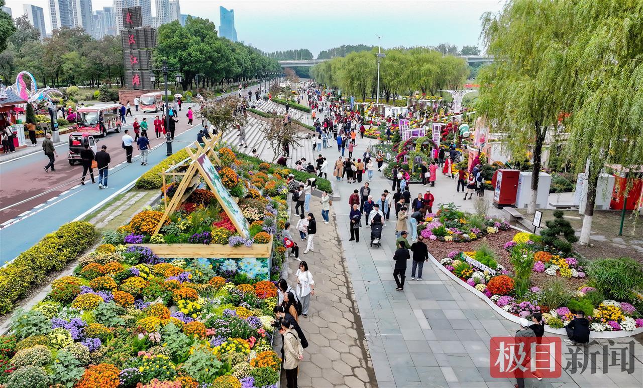 现在正是赏初冬菊花的季节。武汉菊博会 数亿菊花竞相绽放