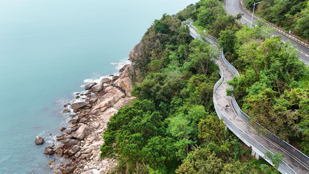 体育地理｜跃动大湾区(图24)