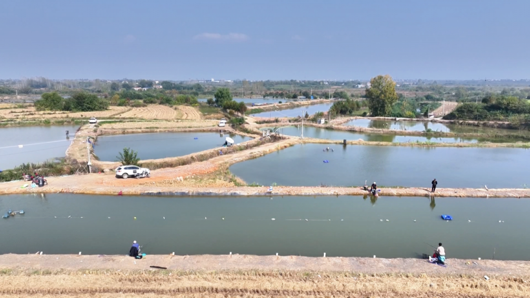 小昌：乡村享受垂钓，智慧养殖增收