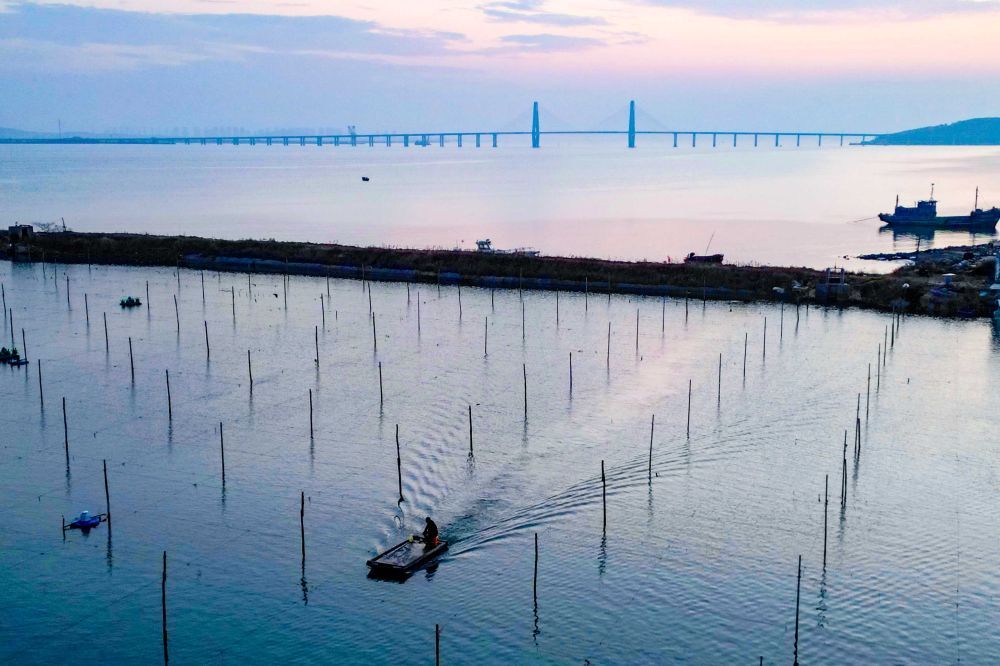 中共四中全会精神深入基层|山东:农牧渔业填