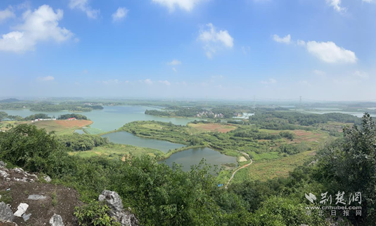 了不起的村支书② |陈馨瑶