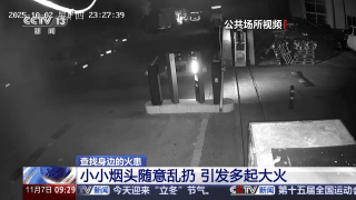 视频丨小小烟头别轻视 警惕它变成“大大隐患”(图2)