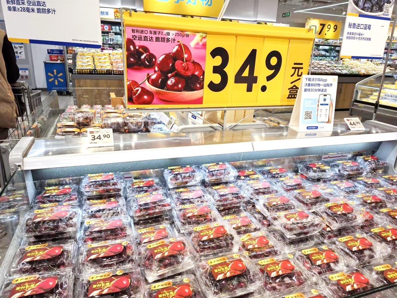 冬天的第一朵樱花已经到来。价格同比下降20%。再等半个月就可以享受“樱桃自