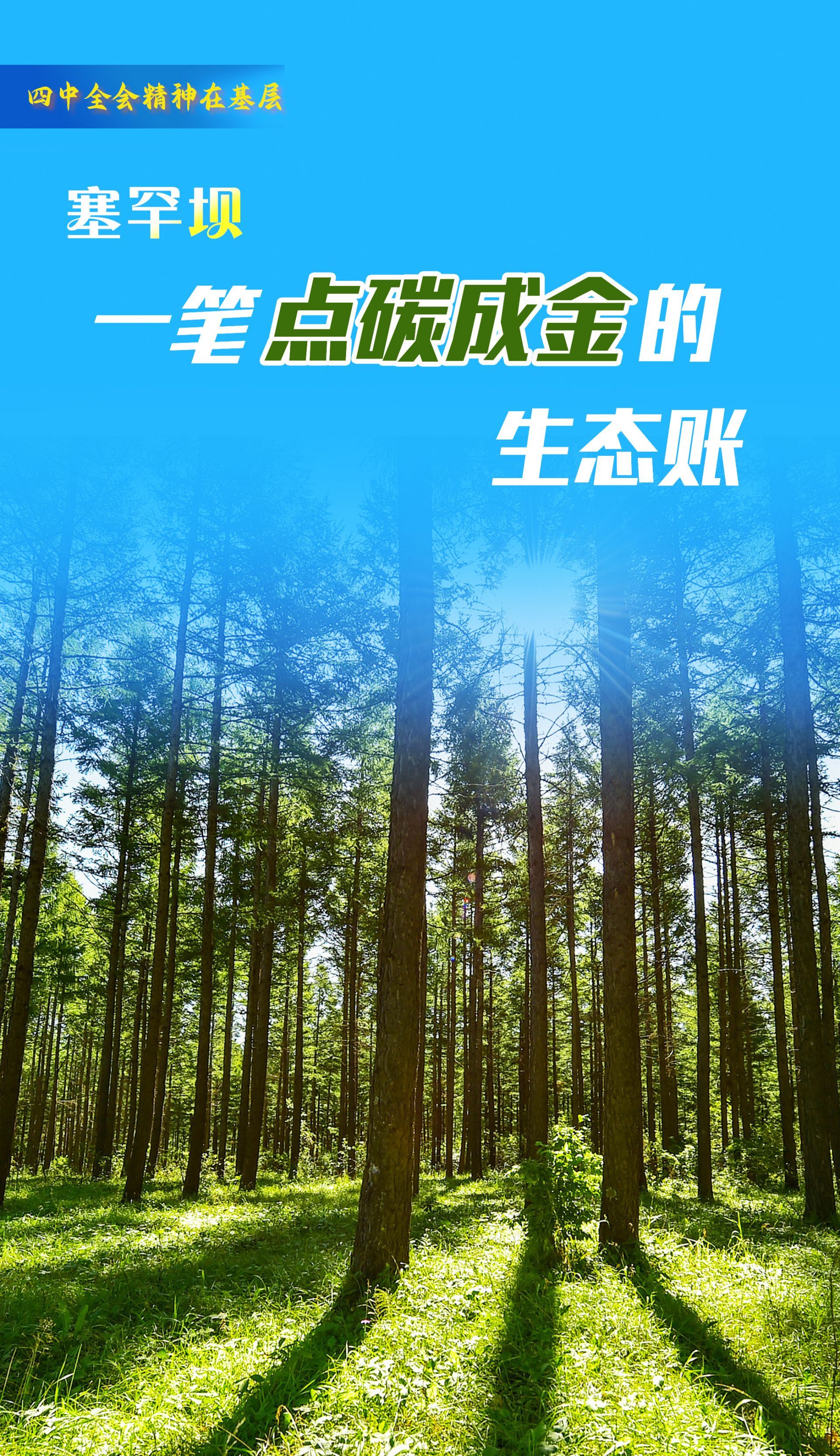 中共四中全会精神深入基