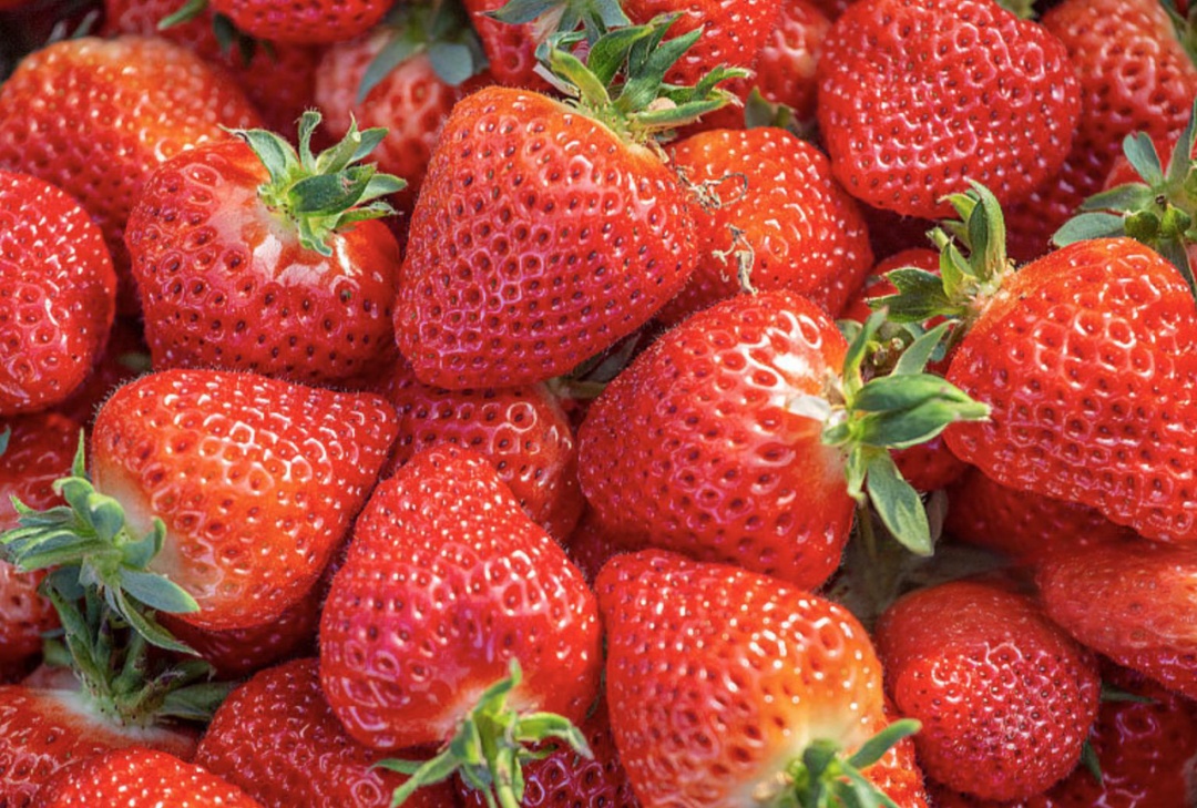 办公室种草莓全年可摘？数字农业要让每个人实现 “种地瘾”