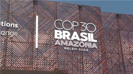 多国领导人呼吁加紧努力