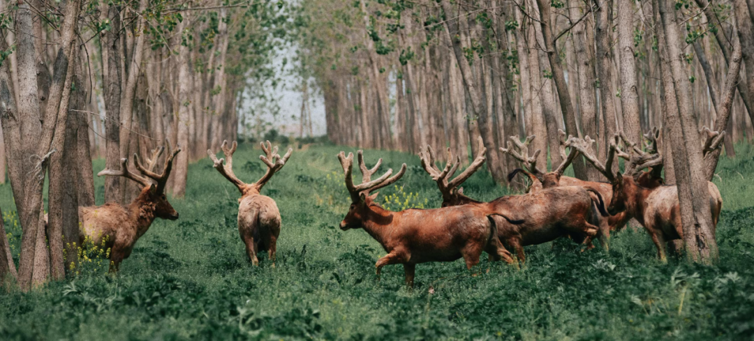 640?wx_fmt=png&from=appmsg&&wxfrom=5&wx_lazy=1#imgIndex=1