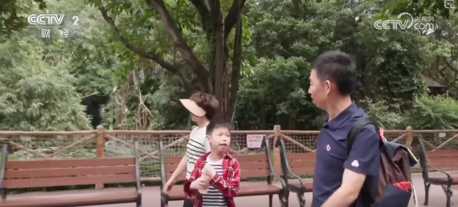 “这不仅仅是一项运动”！十五大的“多米诺骨