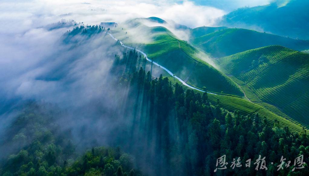 一经一纬：探索“两山”转型新路径