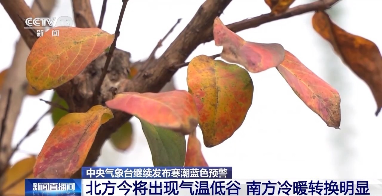 视频丨寒潮持续南下，带来强风，影响我国多地