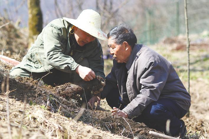 告别罗冠章：最后的38.83元