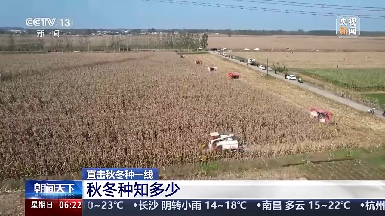 视频丨《冬客》冬小麦怎么种？专家分享3个播种