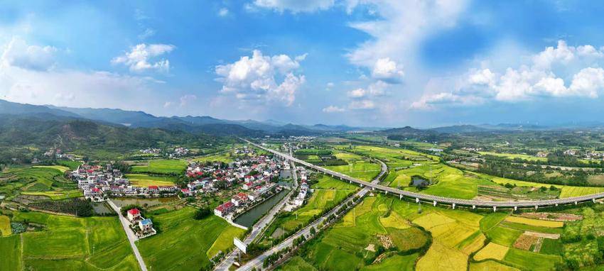 守底线 抓发展 促振兴——大悟扎实推进巩固拓展脱贫攻坚成果同乡村振兴有效衔接