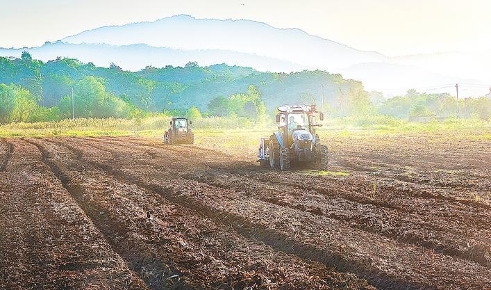 湖北省油菜籽年产量突破300万吨再创历史新高