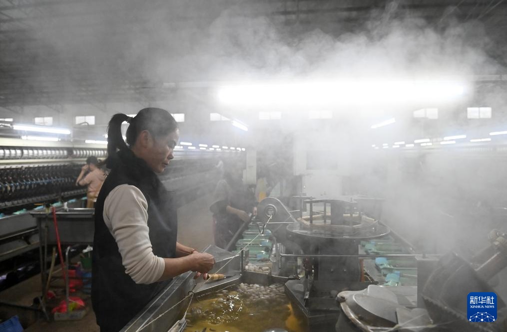 广西新城：丝绸企业忙碌开工