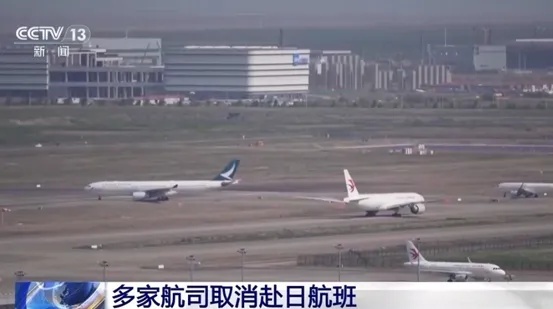 日本一家旅行社损失了 80% 的预订