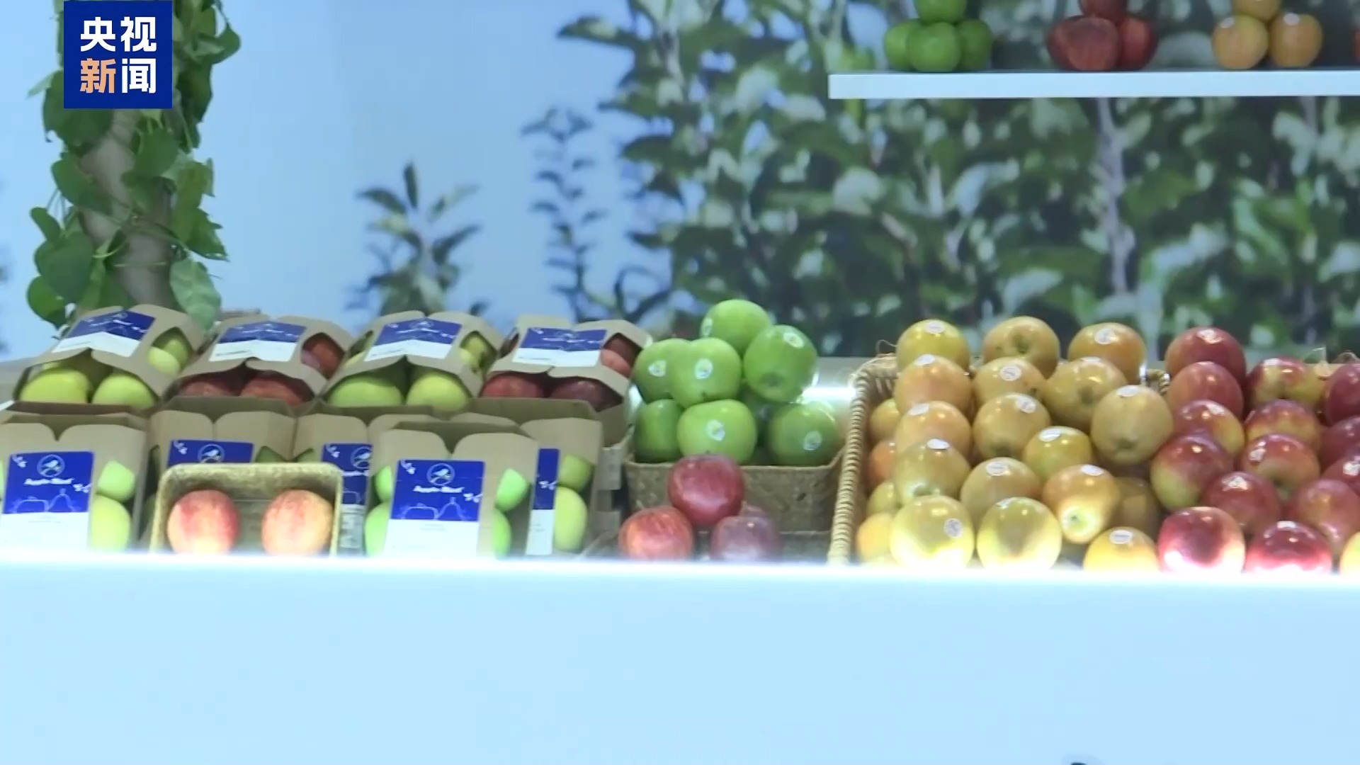 尼日利亚第8名全日制学生：进博会是一个很好的