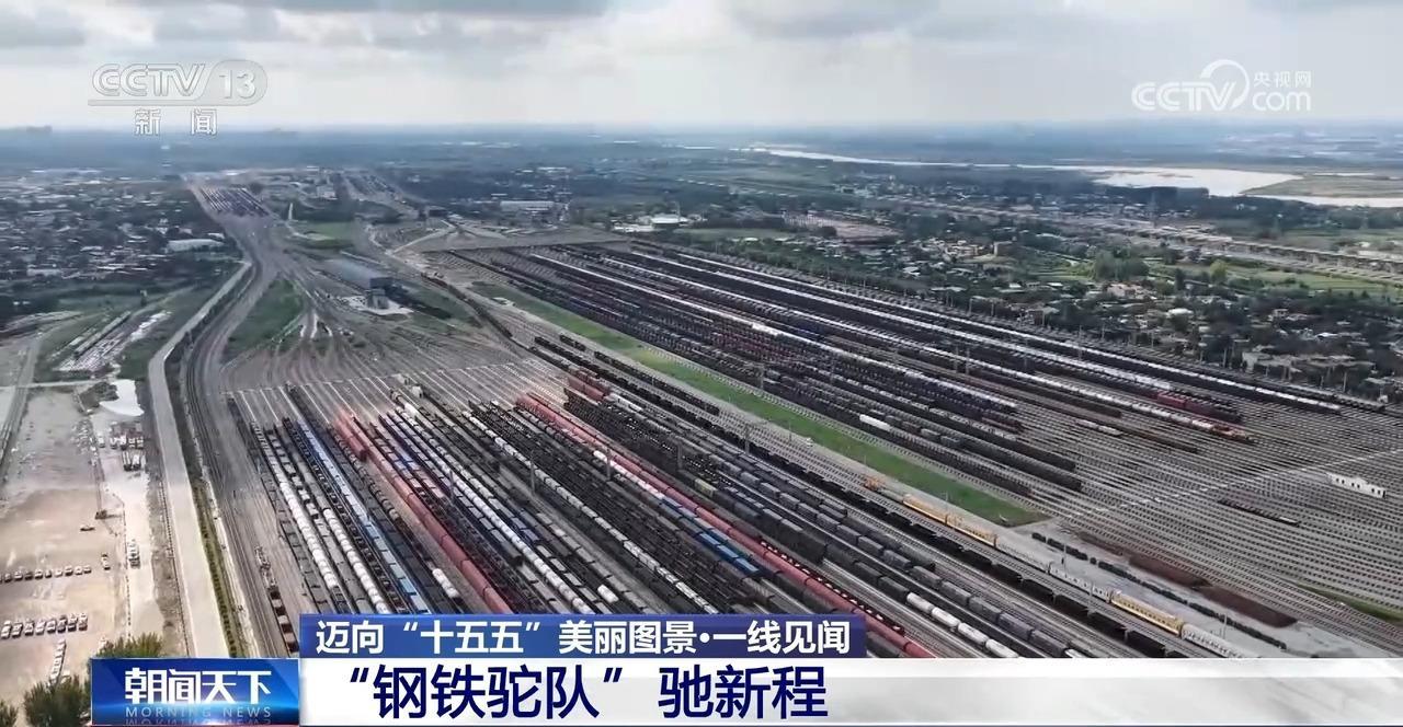 迈向“十五五”“钢驼队”再出新路