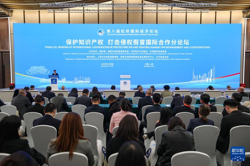 第八届进博会分论坛丨第八届虹桥国际经济论坛