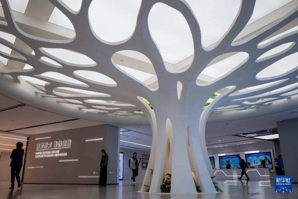 中共中央四中全会精神深入基层|从“中国光谷”