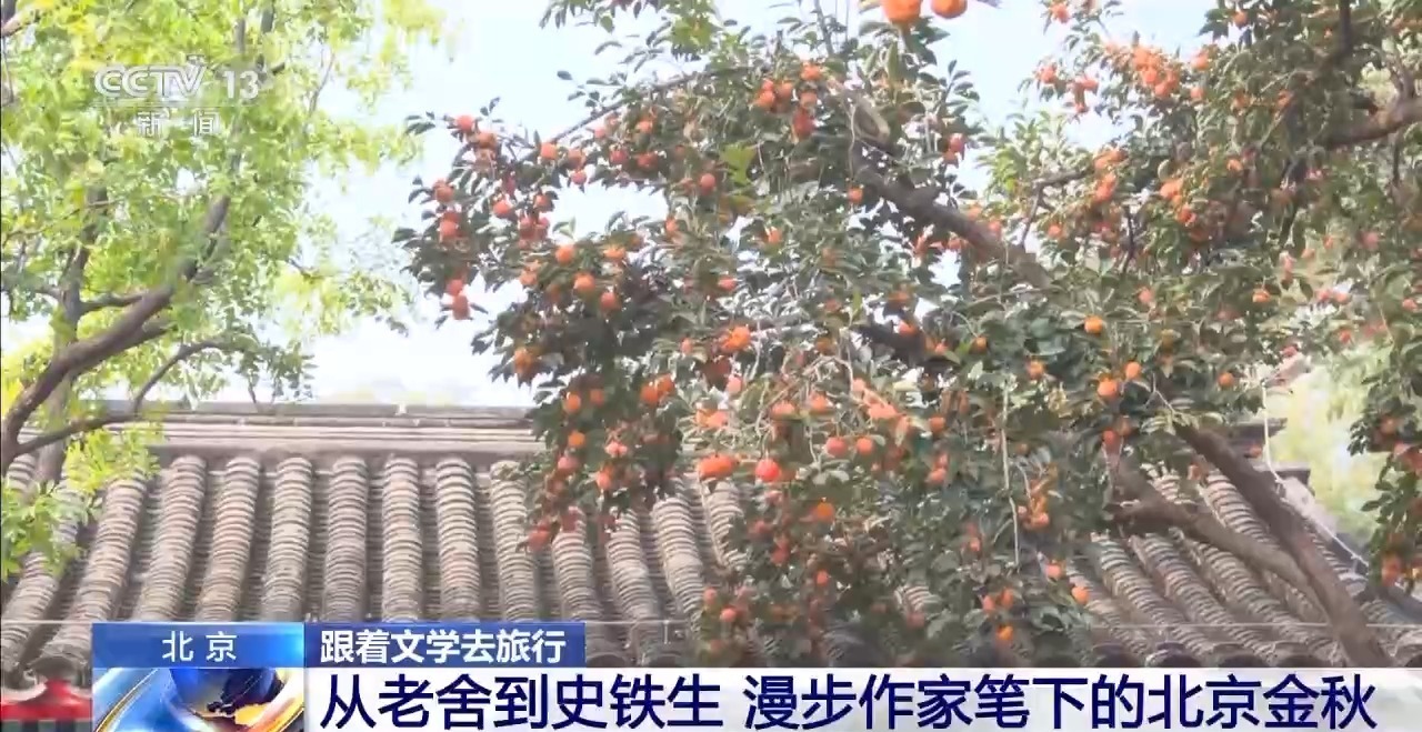 色彩缤纷的树种尽显。跟随文学作品探寻“北京