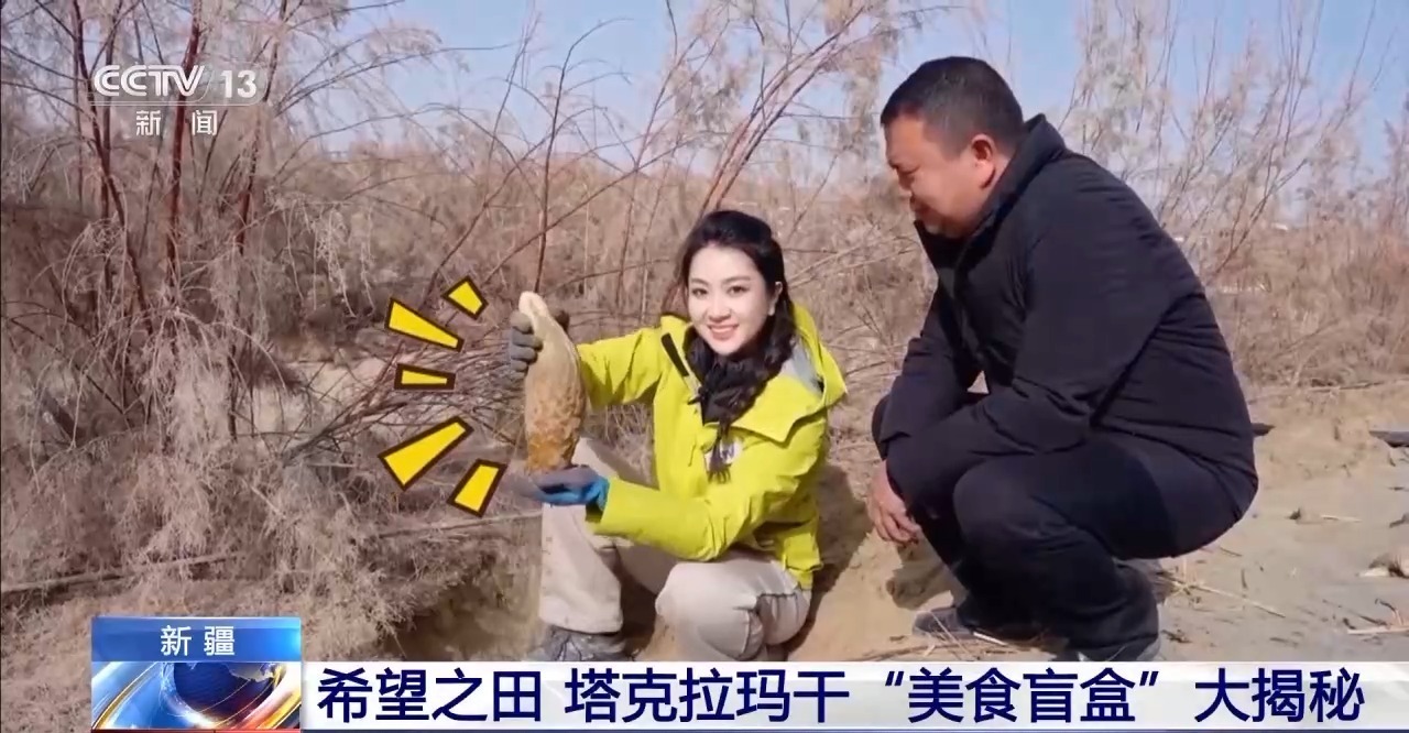 视频丨从“死亡之海”到“水产绿洲” 解锁新疆“点沙成金”的密码→