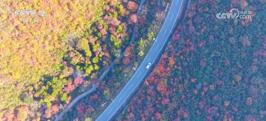 Ҷ+＾ѡ桱ũҵһѡԿס