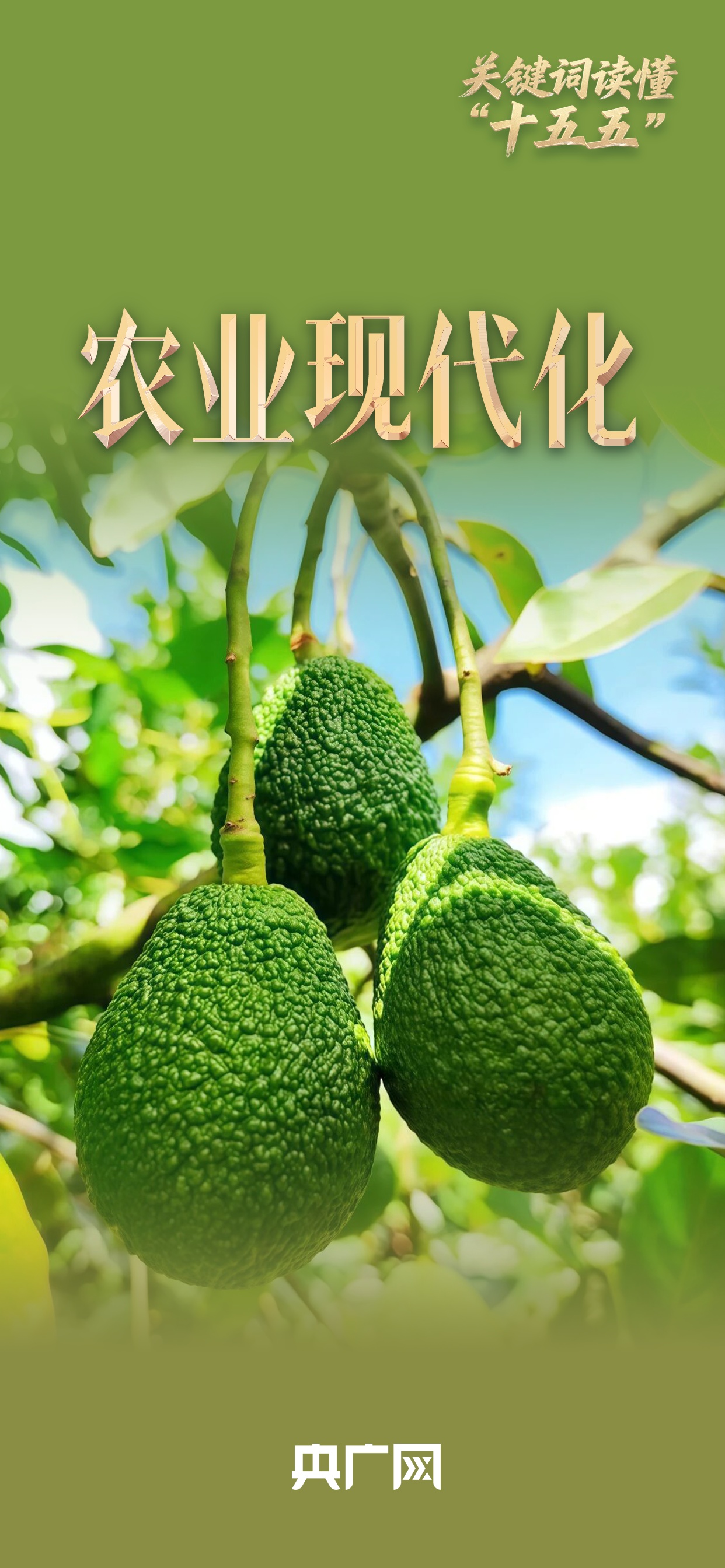 读懂“十五五”的关键词丨农业现代化激活“新