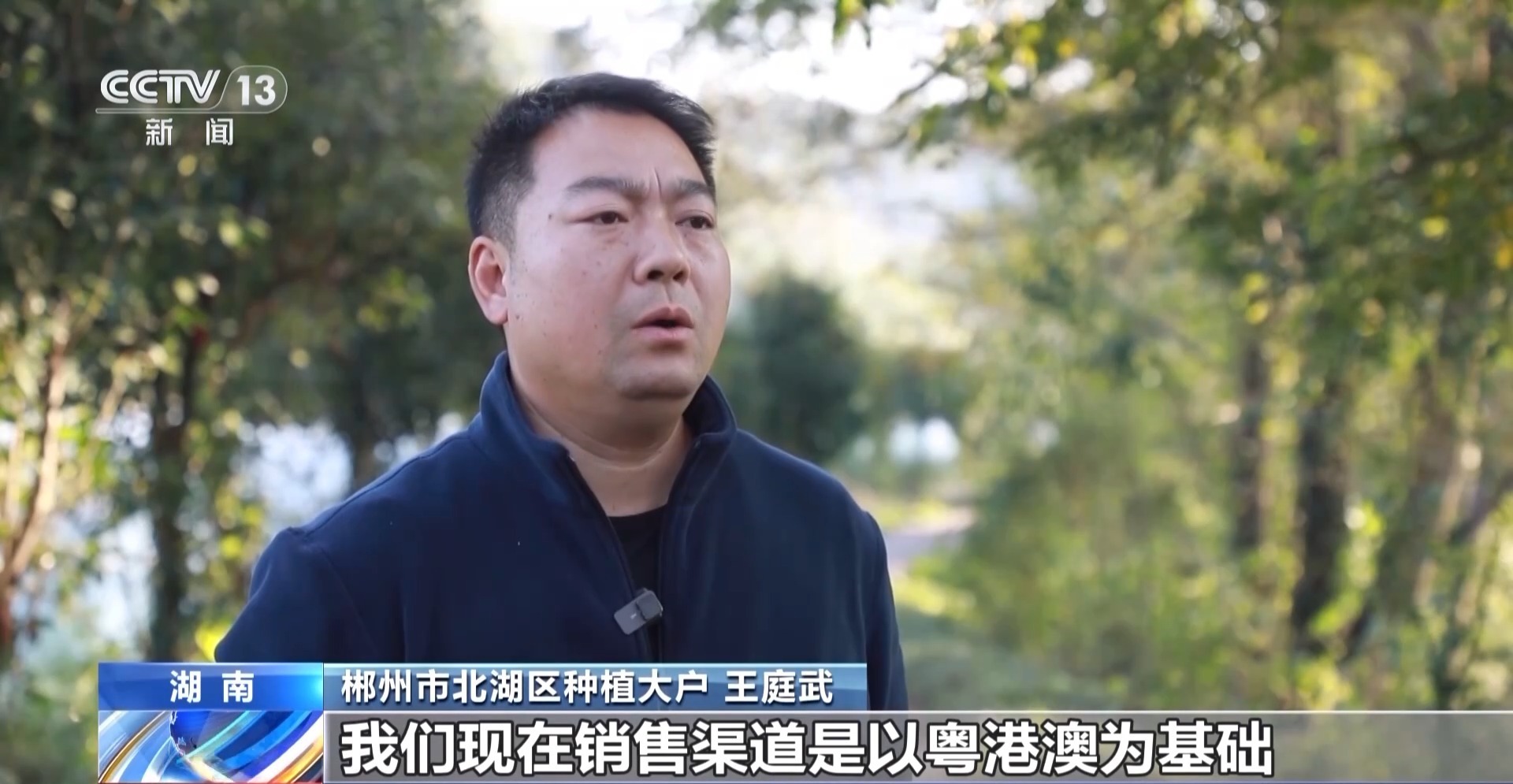 视频丨蔬菜贷、民宿贷、水果贷?金融服务“精准滴灌”到田间地头