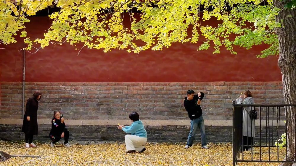 新华社视角｜文旅消费向好升级，多地经