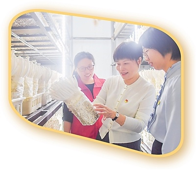 ǿĴ壨ǰع۲ũ嵳УʡԴһ߾