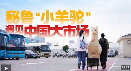 进博会丨秘鲁“小羊驼”遇见中国大市场