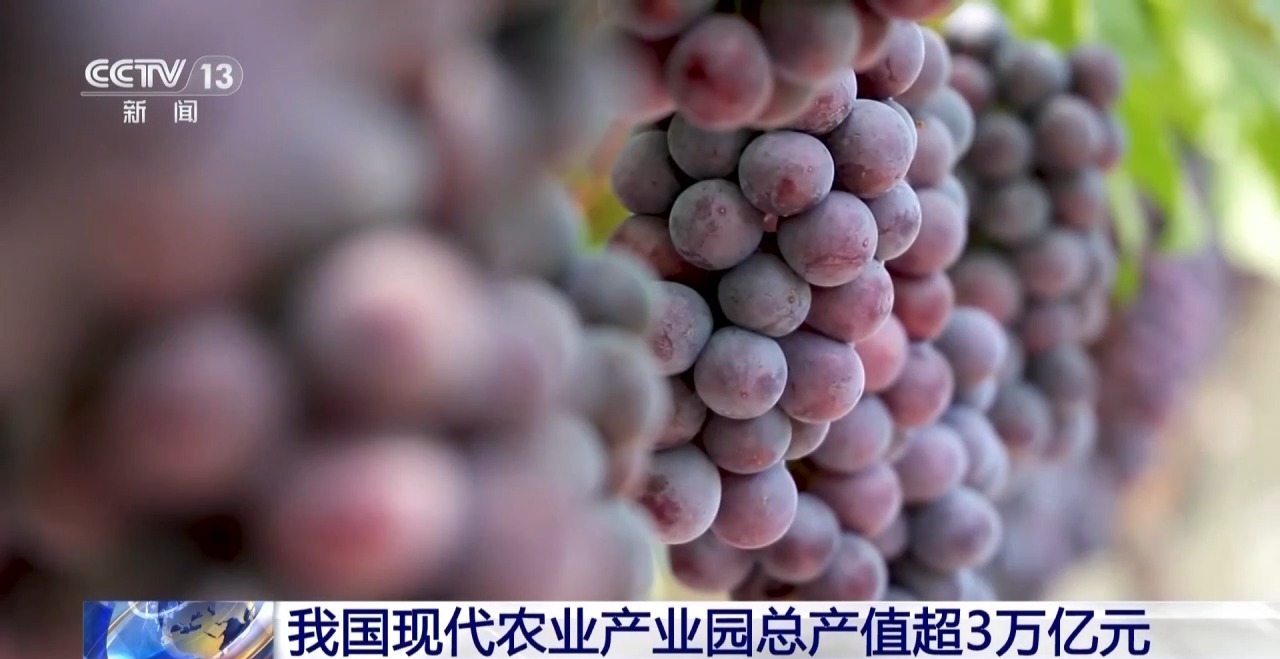 丨我国现代农业产业园总产值超3万亿元