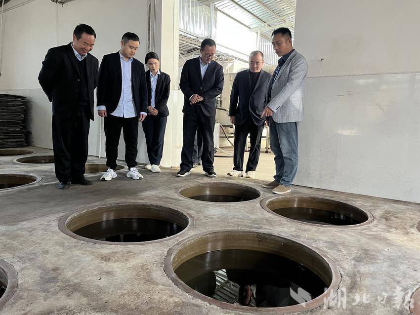 应辰：尼县酒香传千里，高速赋能促发展