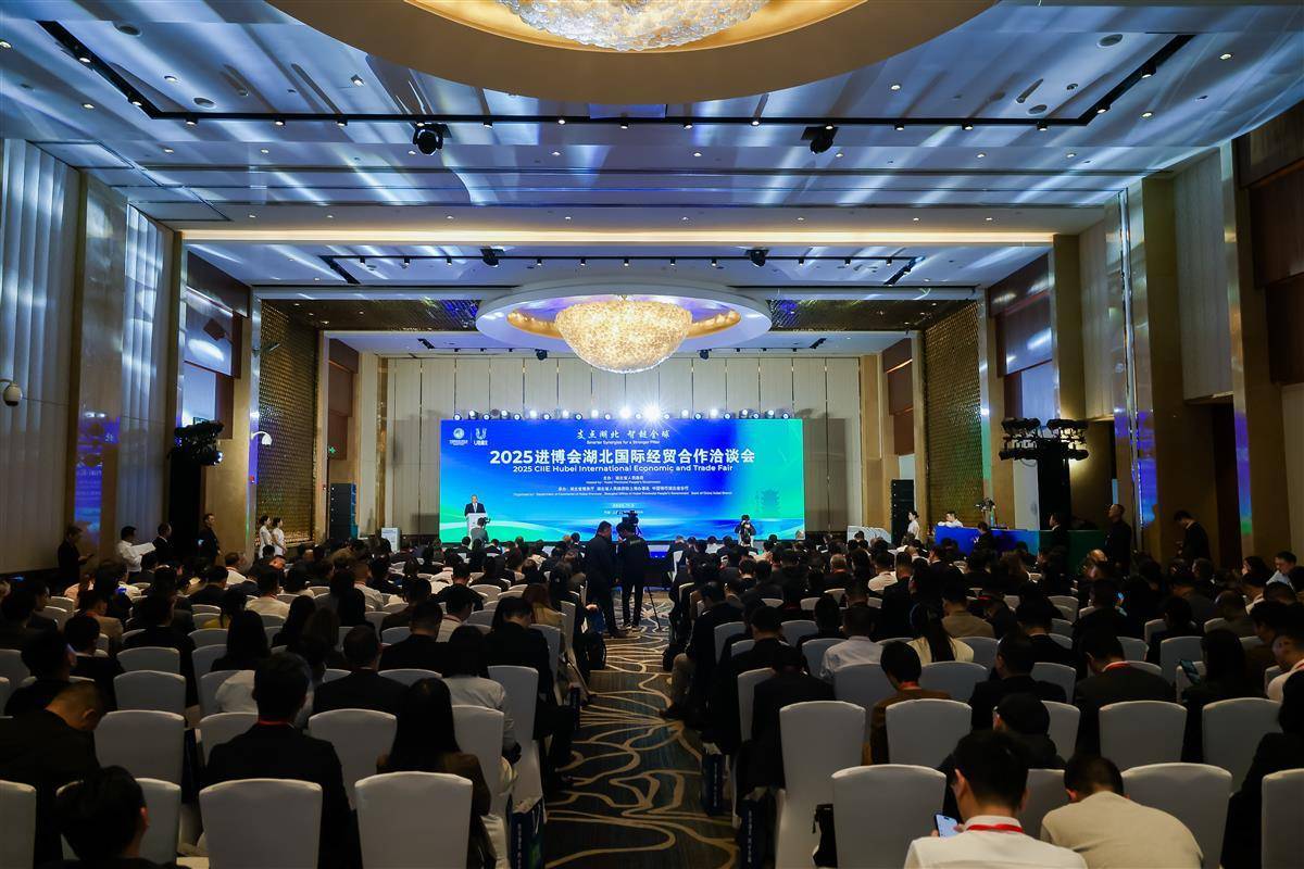 相约湖北进博会丨进博会牵线搭桥，洽谈经贸合