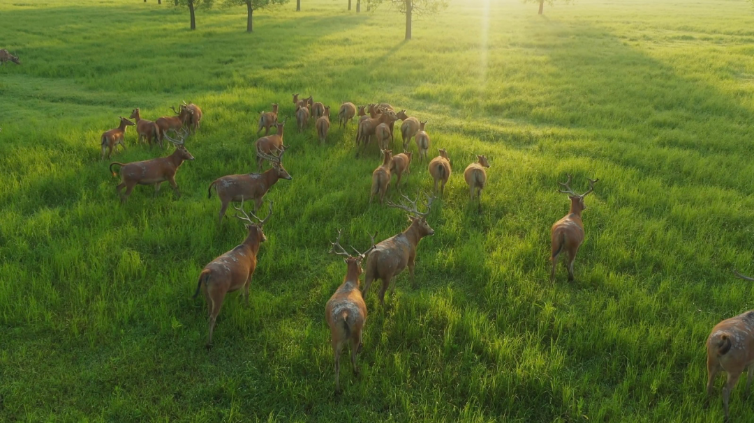 640?wx_fmt=png&from=appmsg&&wxfrom=5&wx_lazy=1#imgIndex=0