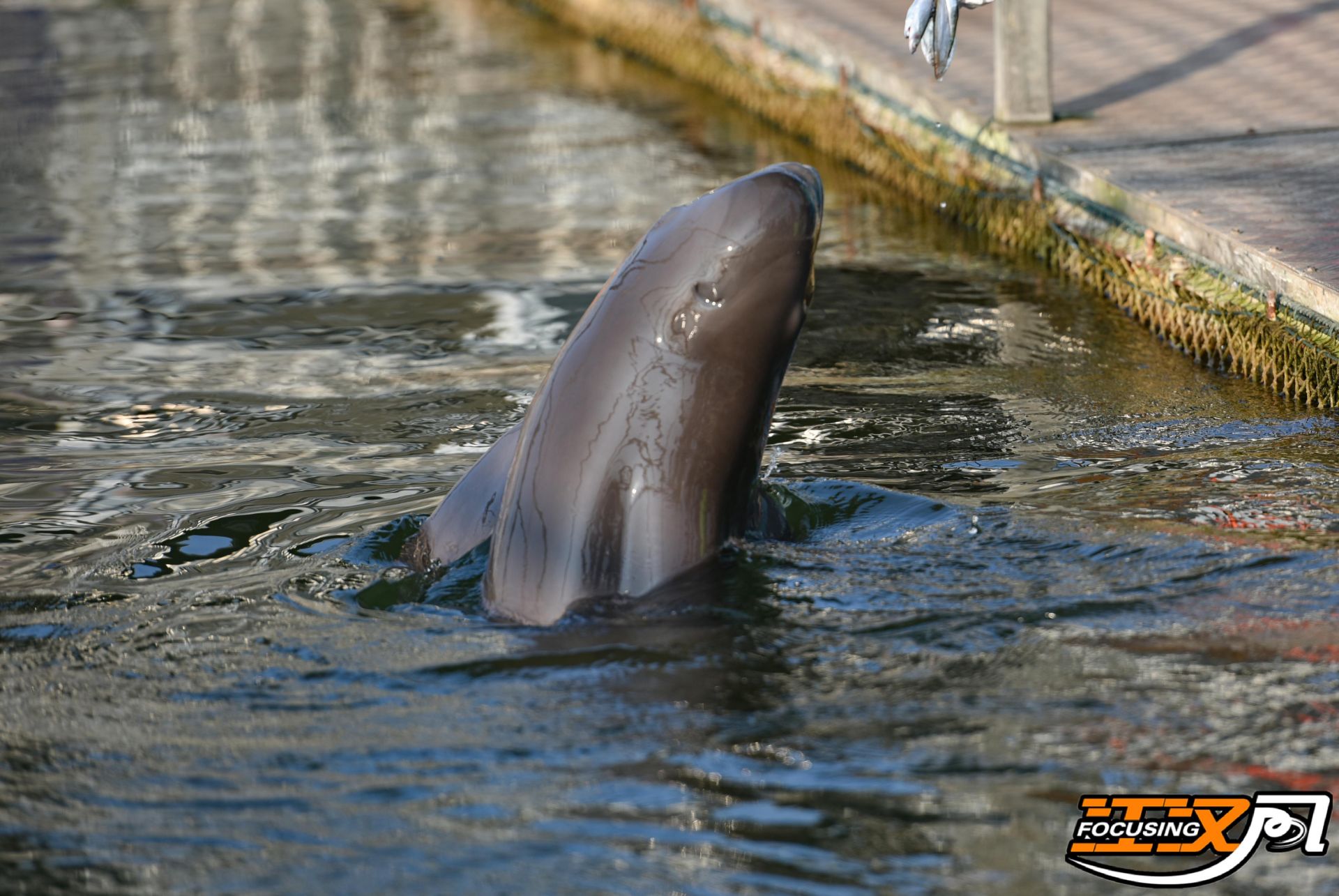 荆州：保护河流碧水 打造生态画卷