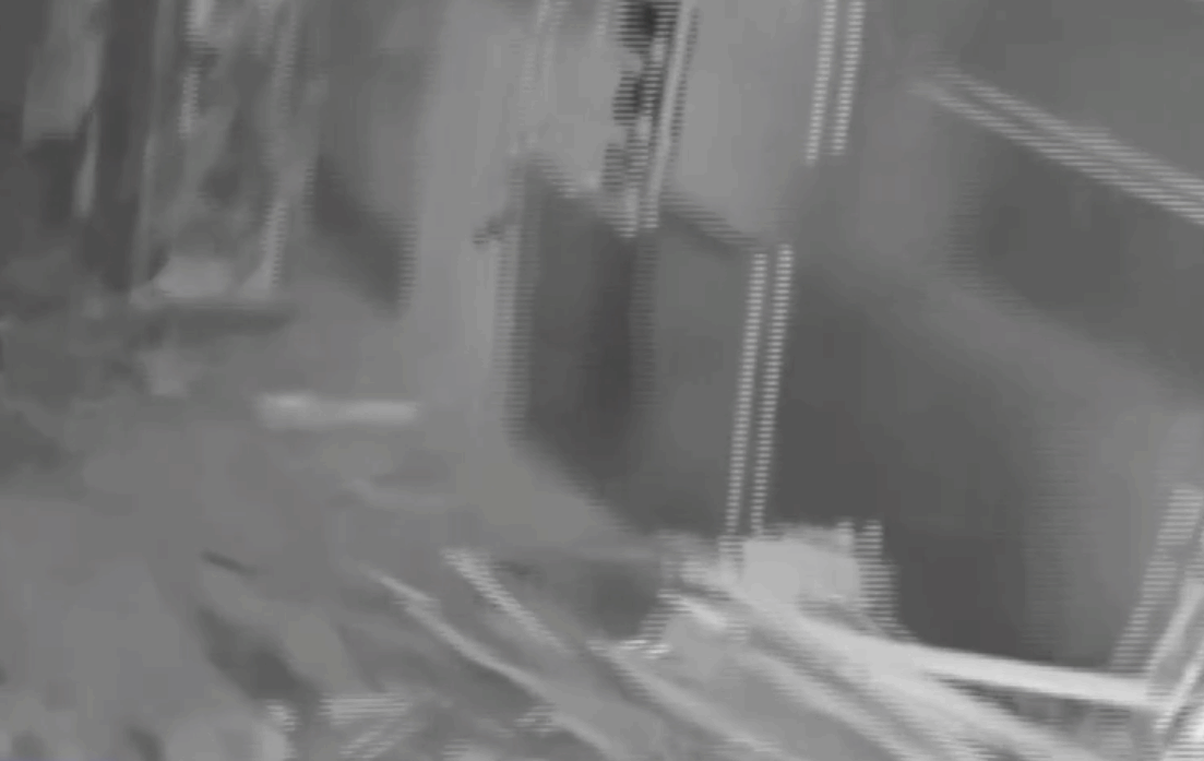 法治在线丨秘密角落里藏着数百万金饰。警方仅