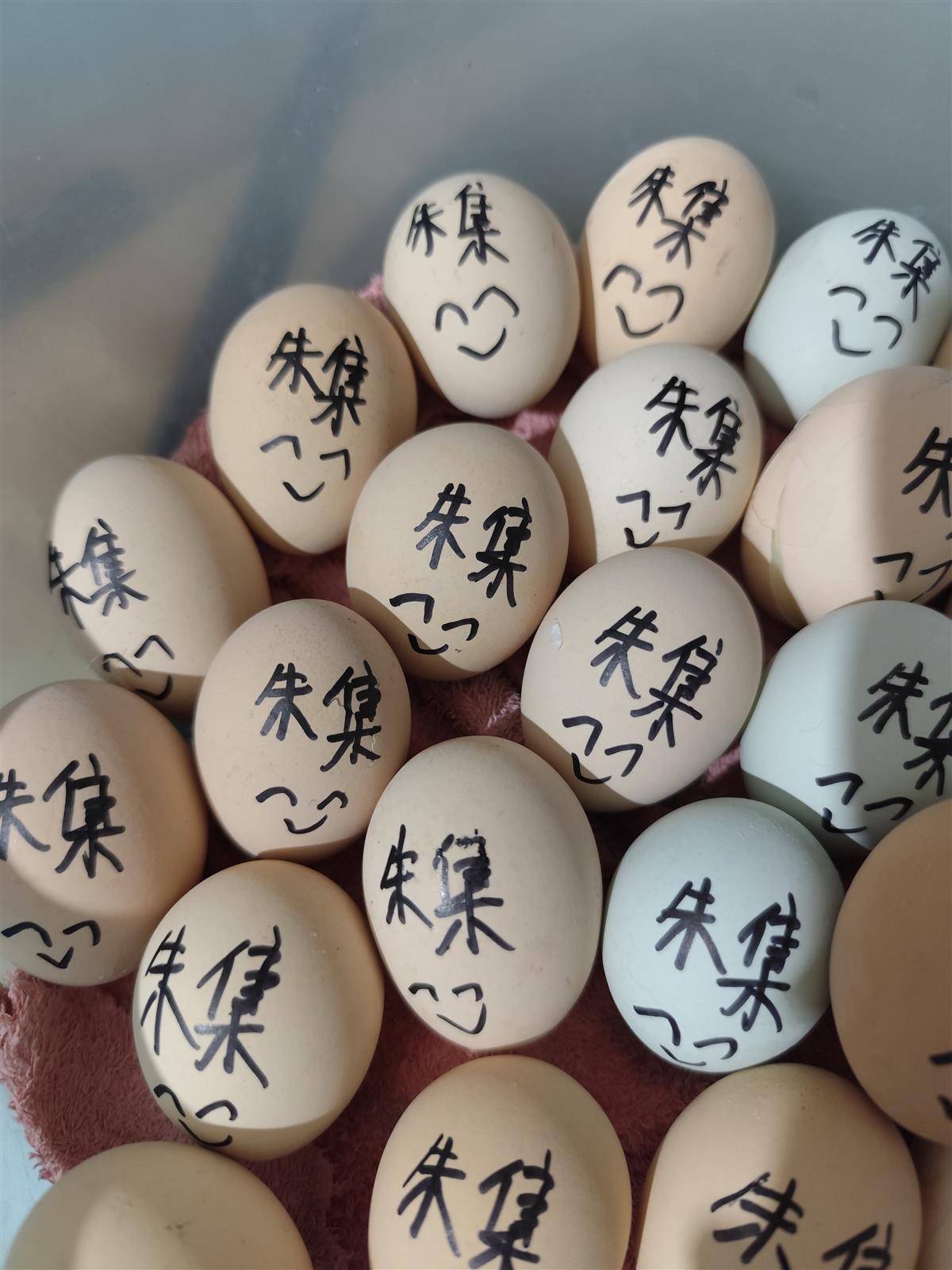 “土鸡蛋”把土鸡蛋放在