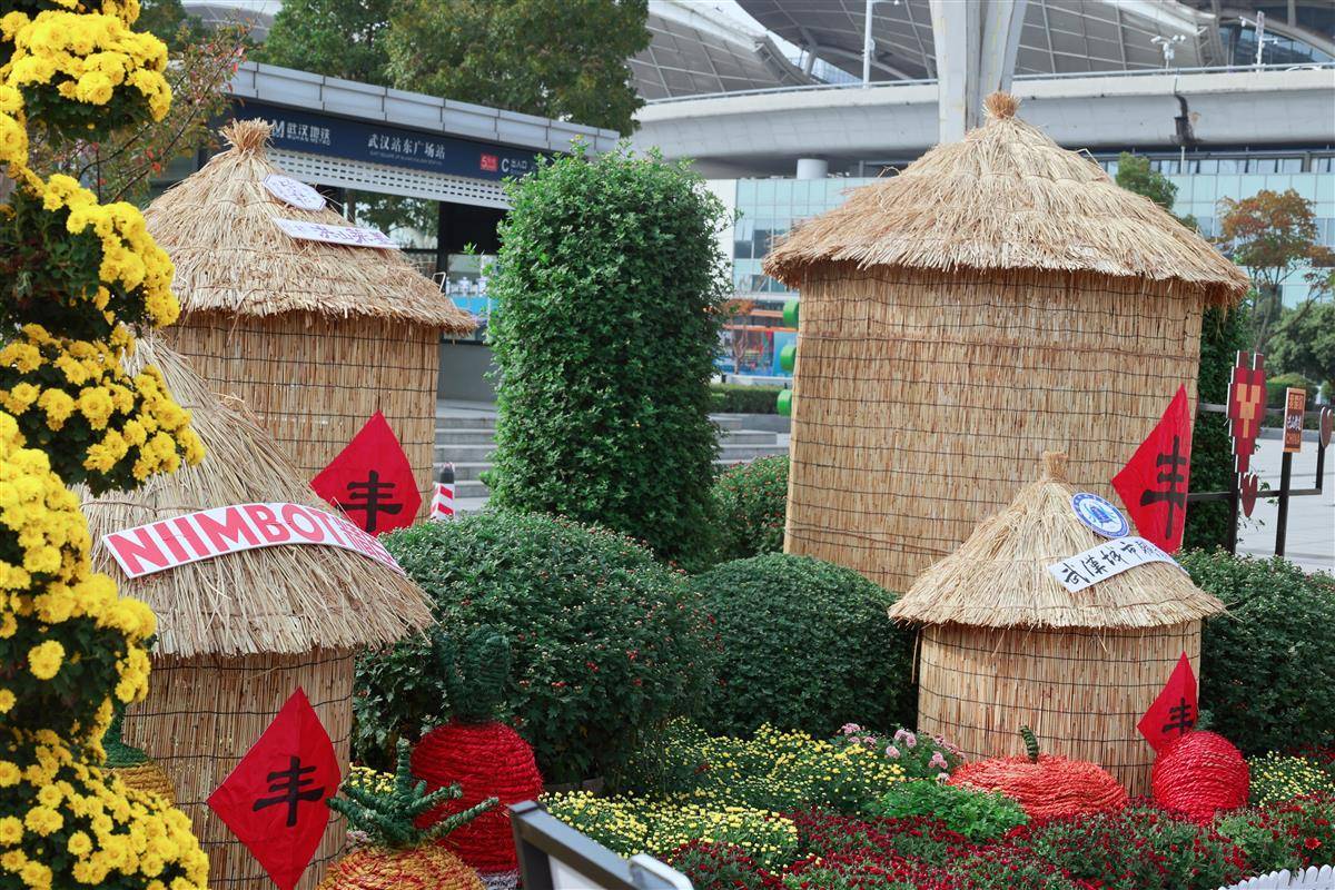 金秋菊花展在武汉火车站举行，数万朵菊花描绘出一幅“大学城”的人文画卷。