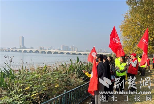 跑到家乡的河边去吧！近100名忠义守护者绘制了