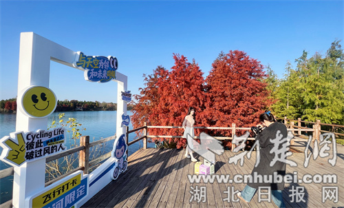 荆门漳河国家湿地公园