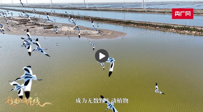 三月海岸 |从警车到“AI眼睛” 世界自然