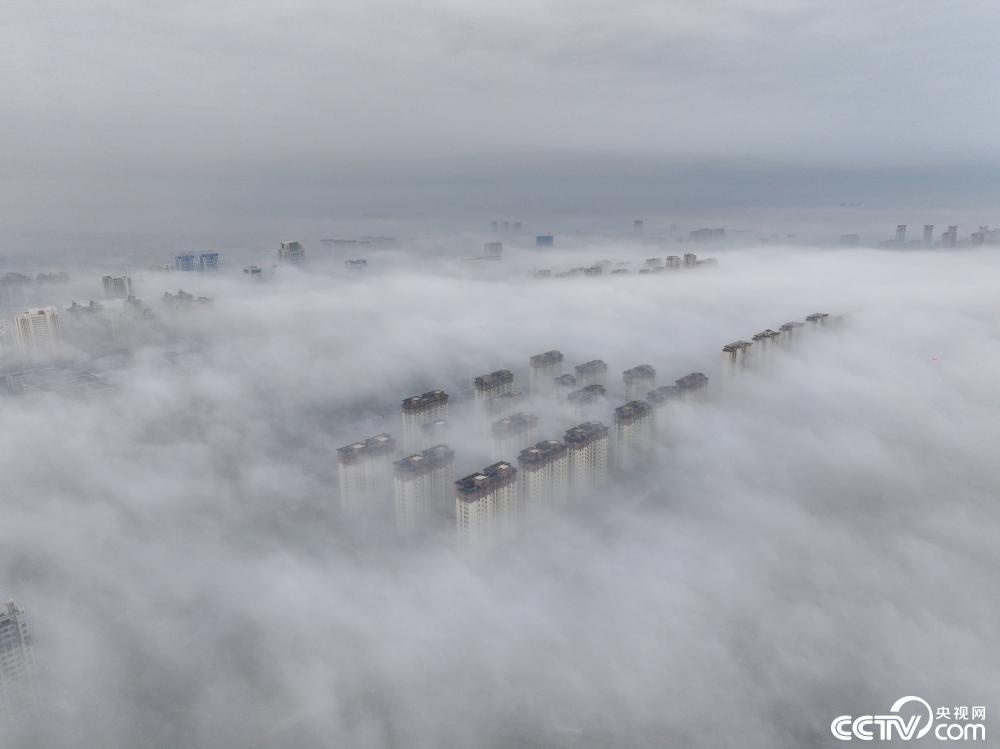 江苏连云港现平流雾景观:城市建筑下沉如