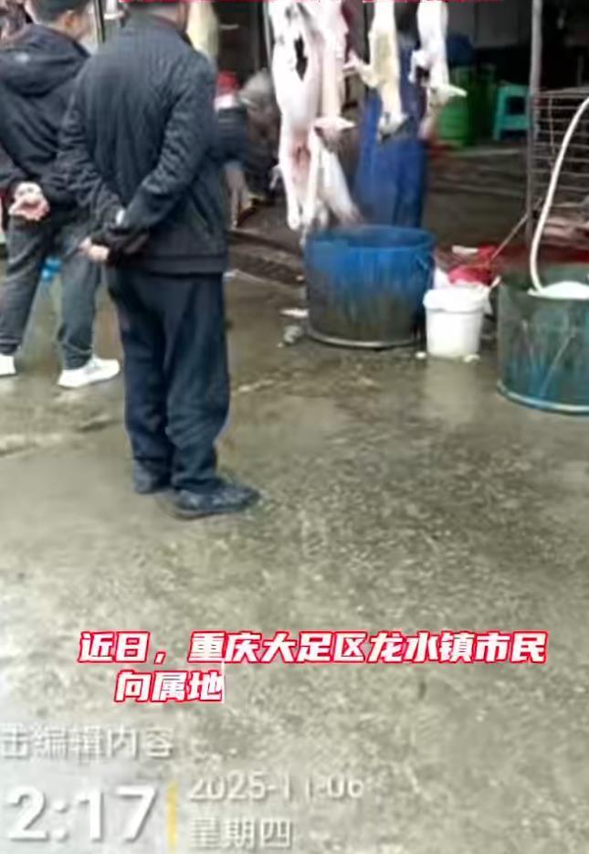 重庆大嘴菜市场宰杀狗